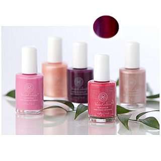 WaterColors Non-Peel Off Polish, Vintage Merlot, 0.5 oz, Honeybee Gardens