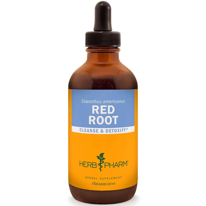 Red Root Extract Liquid, 4 oz, Herb Pharm