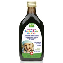 Flora Health Sambu Guard for Kids, Elderberry Syrup, 5.9 oz, Flora Health