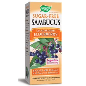 Sambucus Black Elderberry Sugar-Free Syrup, 4 oz, Natures Way
