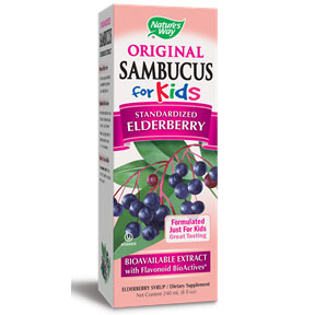 Sambucus For Kids, Black Elderberry Syrup, Value Size, 8 oz, Natures Way