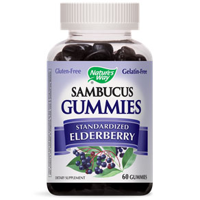 Sambucus Gummies, Chewable Standardized Elderberry, 60 Gummies, Natures Way