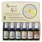 Seasons of the Soul Oils Gift Set, 2 oz x 6 pc, Flower Essence Services
