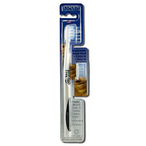 Terradent Adult 31 Replaceable Head Toothbrush, Medium, 1 Toothbrush & 1 Refill, Eco-Dent (Ecodent)