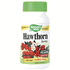 Hawthorn Berries  510 mg  100 Vegicaps  Natures Way
