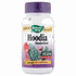 Hoodia Concentrate Standardized 60 vegicaps from Natures Way