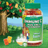 L'il Critters Immune C Plus Zinc & Echinacea, Immune Booster, 200 Gummy Bears