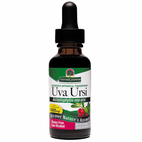 Uva Ursi Extract Liquid 1 oz from Natures Answer