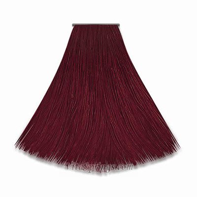 osama bin laden family_06. more hair colours red.