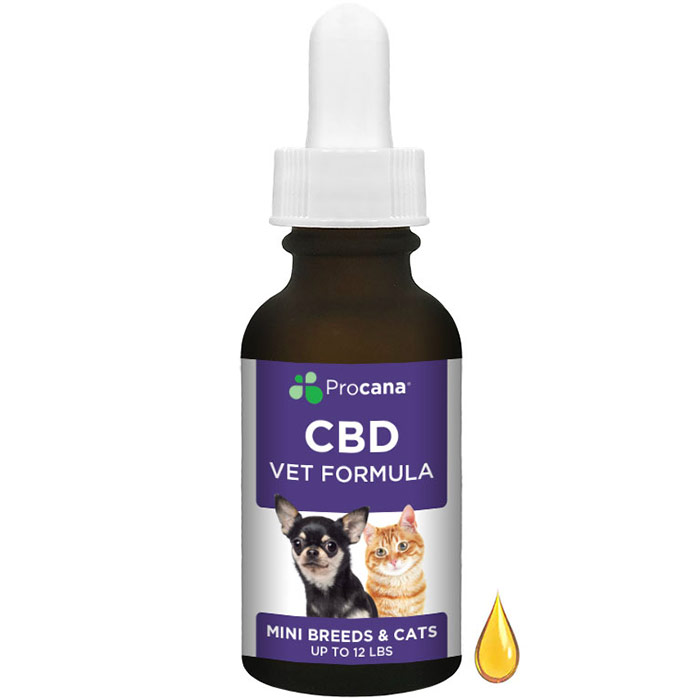 Vet Formula 240 mg CBD Dropper, For Dogs & Cats, 1 oz, Procana Laboratories