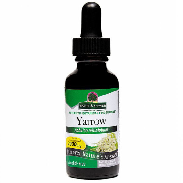 Yarrow Flowers Alcohol Free Liquid Extract 1 oz from Natures Answer