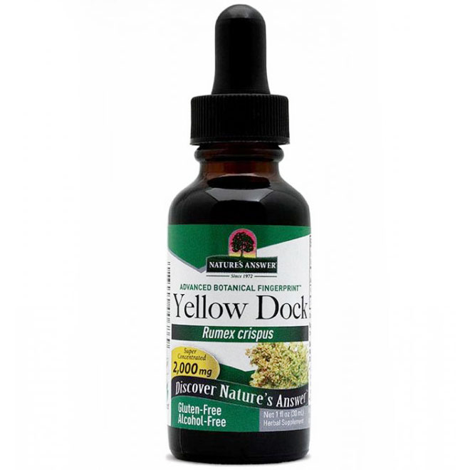 Yellowdock (Yellow Dock) Alcohol Free Extract Liquid 1 oz from Natures Answer