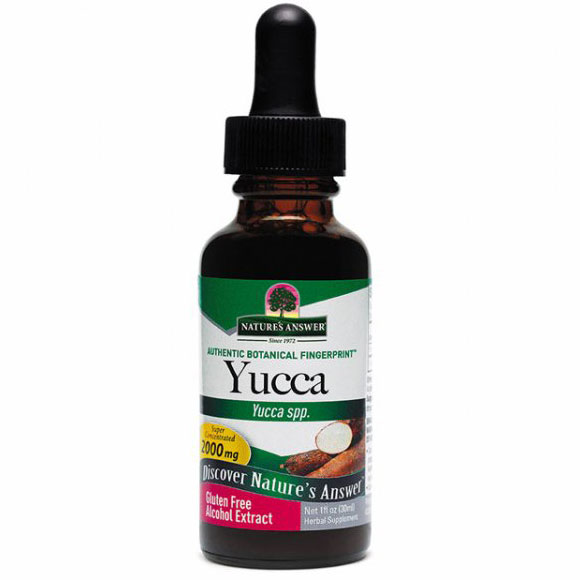 Yucca Root Extract Liquid 1 oz from Natures Answer